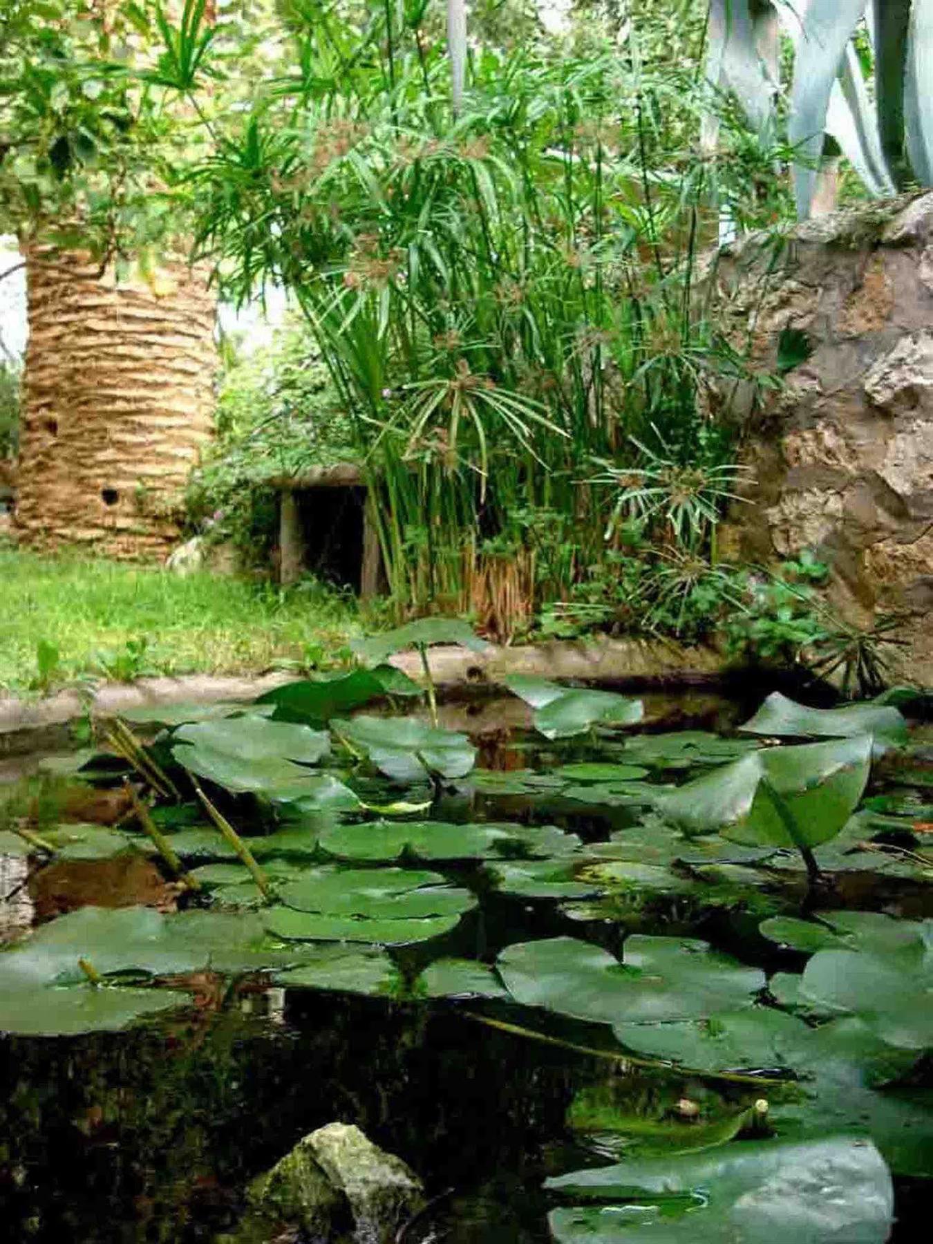 Hotel Nautilus Capri Dış mekan fotoğraf